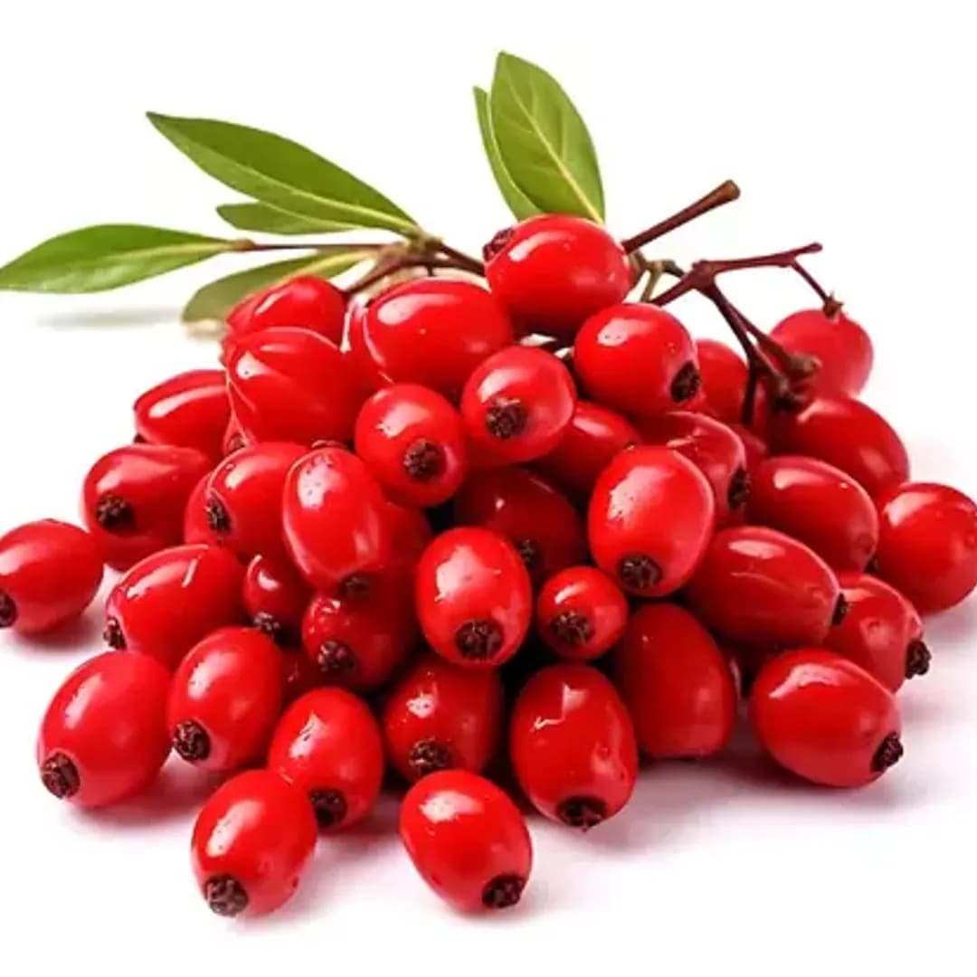 خشکدانه زرشک  محصول